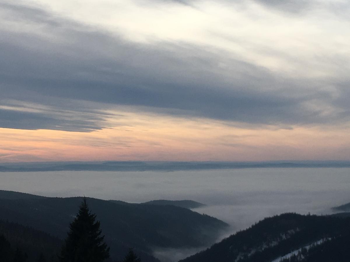 Kovářská K Zastavce 557ヴィラ エクステリア 写真